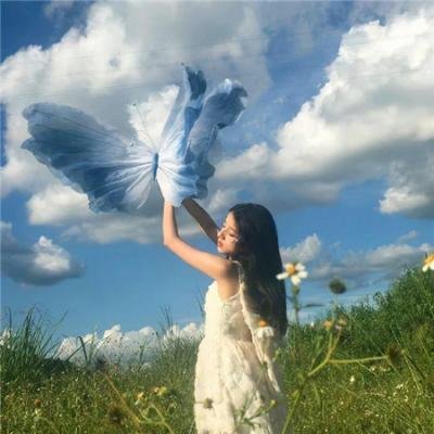 美国派:高潮再起